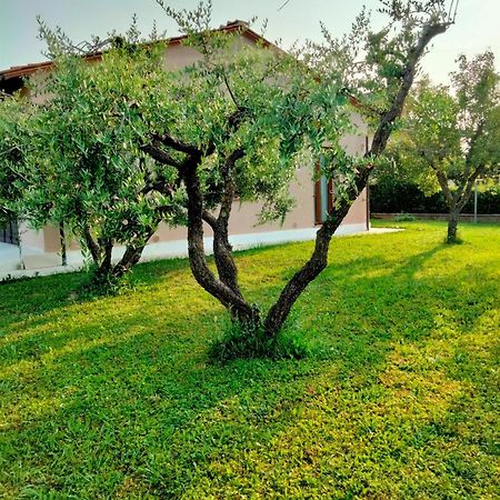 Il Melograno Lägenhet Lucca Exteriör bild